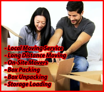 Packers And Movers Noida Sector 52